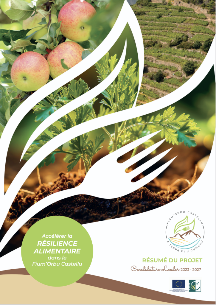 SYNTHÈSE CANDIDATURE LEADER 6.0