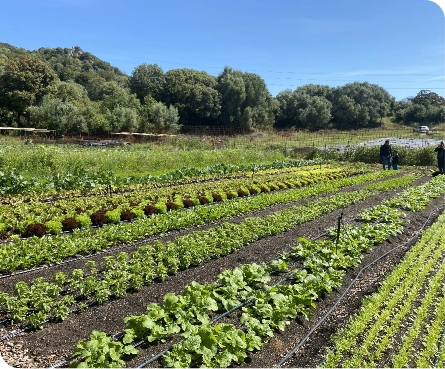 MIEUX PRODUIRE & TRANSFORMER